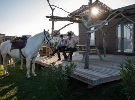 Camping Les Bois Flott&eacute;s，位于萨林德吉罗的木屋