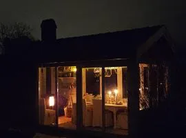 Stor enebolig med flott hage og sommerstue
