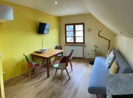 Neu renoviertes 2Zi Appartment im DG