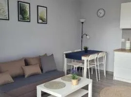 Apartament Wałowa 2