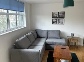 2 Bed city centre flat