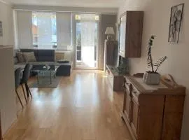 Apartment Dachsteinblick
