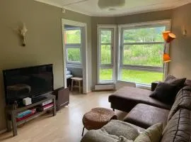 Actif 318 apartment - close to ski slopes in Ål