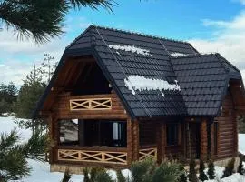 Brvnara Bor