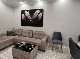 Baku rent house