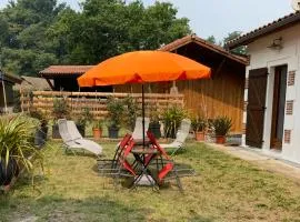 Gîte entre lacs, océan et forêts