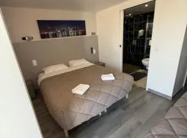 鲁瓦西法斯特酒店 - 圣维斯