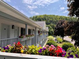 Main Street Motel，位于鱼溪的酒店