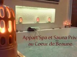 Appart' Spa et Sauna Privatif Au Cœur De Beaune