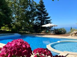 La Terrazza sulla Versilia，位于彼得拉桑塔的酒店