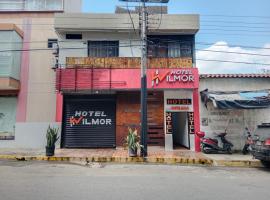 Hotel Wilmor，位于San Antonio del Táchira的酒店