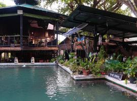 Tropical Hostel，位于皮皮岛的带泳池的酒店