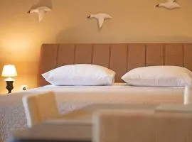 Seagulls' House