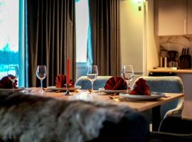 Arctic Glow Apartment 3，位于伊瓦洛的酒店