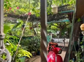 CASita 28