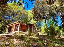 Relajante y Cálida con WIFI y free E Familiar