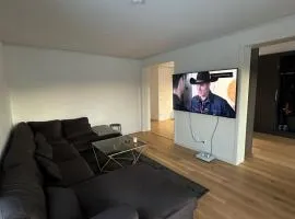 Luxury Apartment,close to city