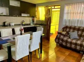 Comfortable Appartment with Optional Parking