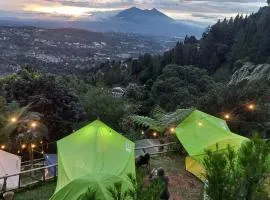 ZOYA HILLS