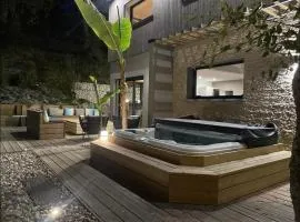 A HOSSEGOR, Jolie maison avec SPA pour sejour bien être