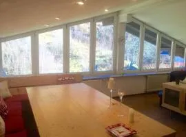 Large spacious apartment, 50m to the ski lift!