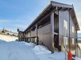 Lovely Apartment In Rjukan With Wifi