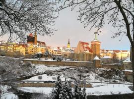 Elbflorenz Dresden，位于包岑的酒店