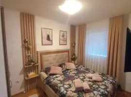 Apartman Jana