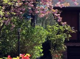Cole's Bay Vacation Retreat Library Room