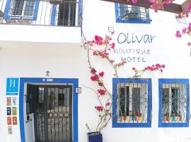 Boutique Hotel El Olivar，位于莫哈卡尔的酒店