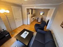 2 roms kjellerleilighet med separat soverom