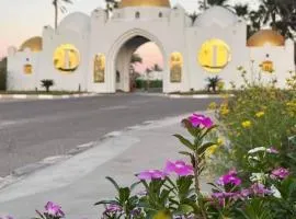 Domina coral bay