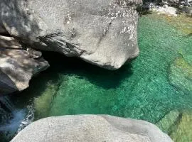 l'Alivu di venaco