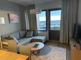 Ylläs Chalets IV 4204，位于易拉斯加威的酒店