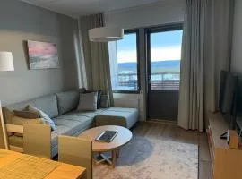 Ylläs Chalets IV 4204