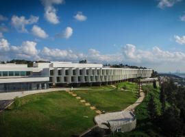 Elma Hotel and Art Complex，位于兹奇隆亚科夫的酒店