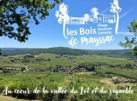 Camping - Village Vacances Familial à Prayssac au coeur du vignoble Lotois