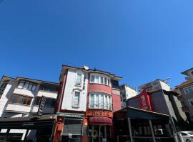 Rustic Pansiyon，位于巴尔滕的酒店