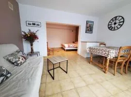 Studio-Château Castelnaud-Au bord de la rivière