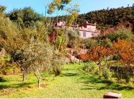 Ourika Timalizène le jardin des délices