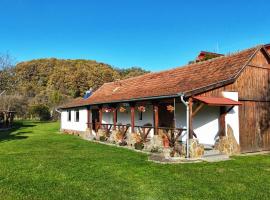 Casa de Peste Apă，位于Peşteana的酒店