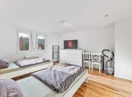 RAUMSCHMIDE Apartments Lorch