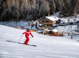 Chalet Albric，位于塞尔瓦迪加尔代纳山谷的木屋