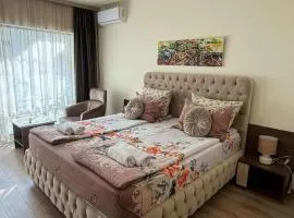 Sunshine Beach Studio