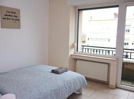 Comfort & Central Rooms，位于卢森堡的酒店