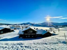 Modern cabin at Høgevarde panoramic view, fireplace and EV station