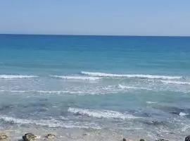 Dar m