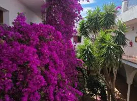 El Penell Estudi Mestral