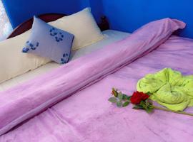 Prince Hotel and Lodge，位于Suryodaya的酒店