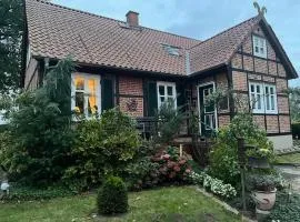 Haus Elbrose Inmitten Von Rosen Mit Elbdeichzugang